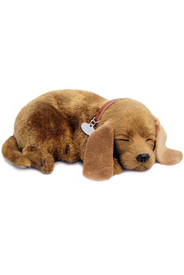 Leksakshund, leksakskatt, batterihund