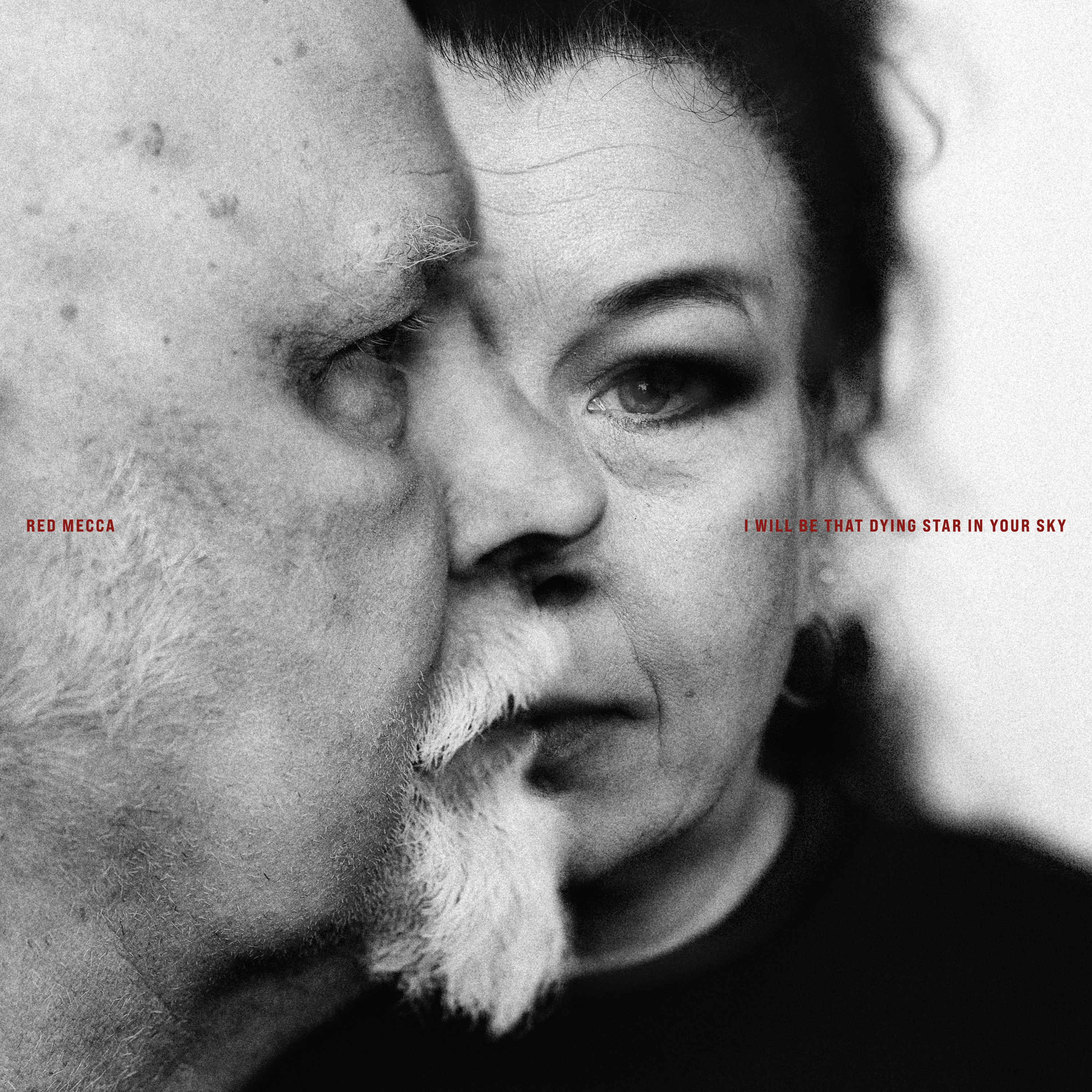 RED MECCA - I Will Be That Dying Star in Your Sky (Signerad)