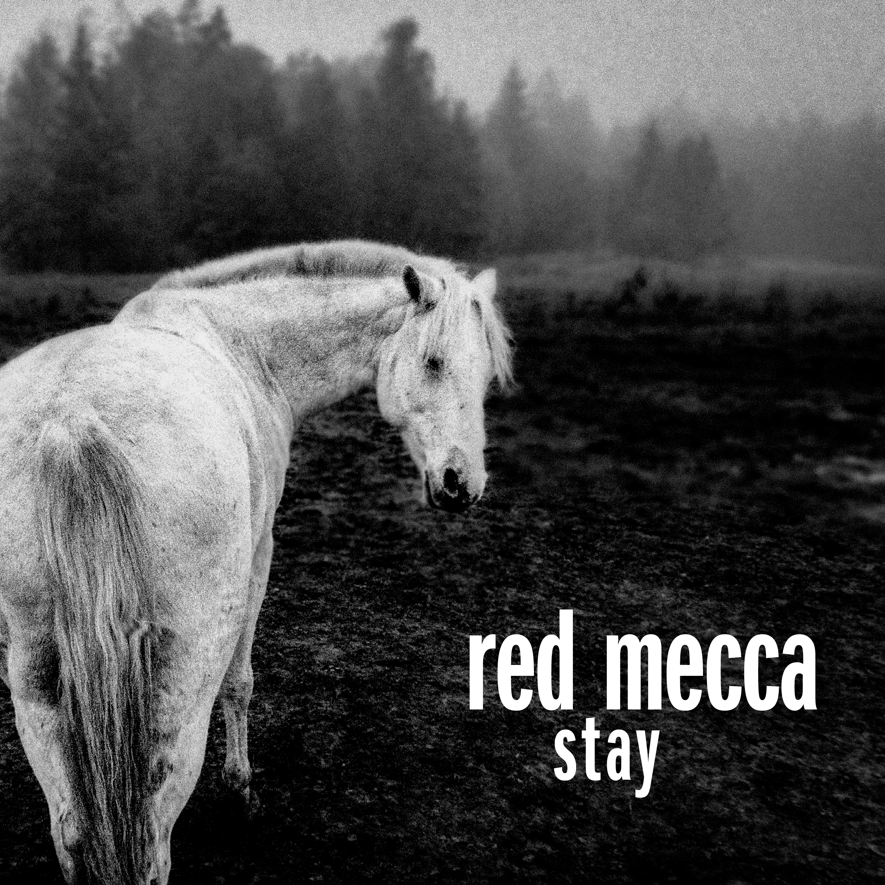 RED MECCA - STAY ( dubbel-LP)  clear vinyl - signerad