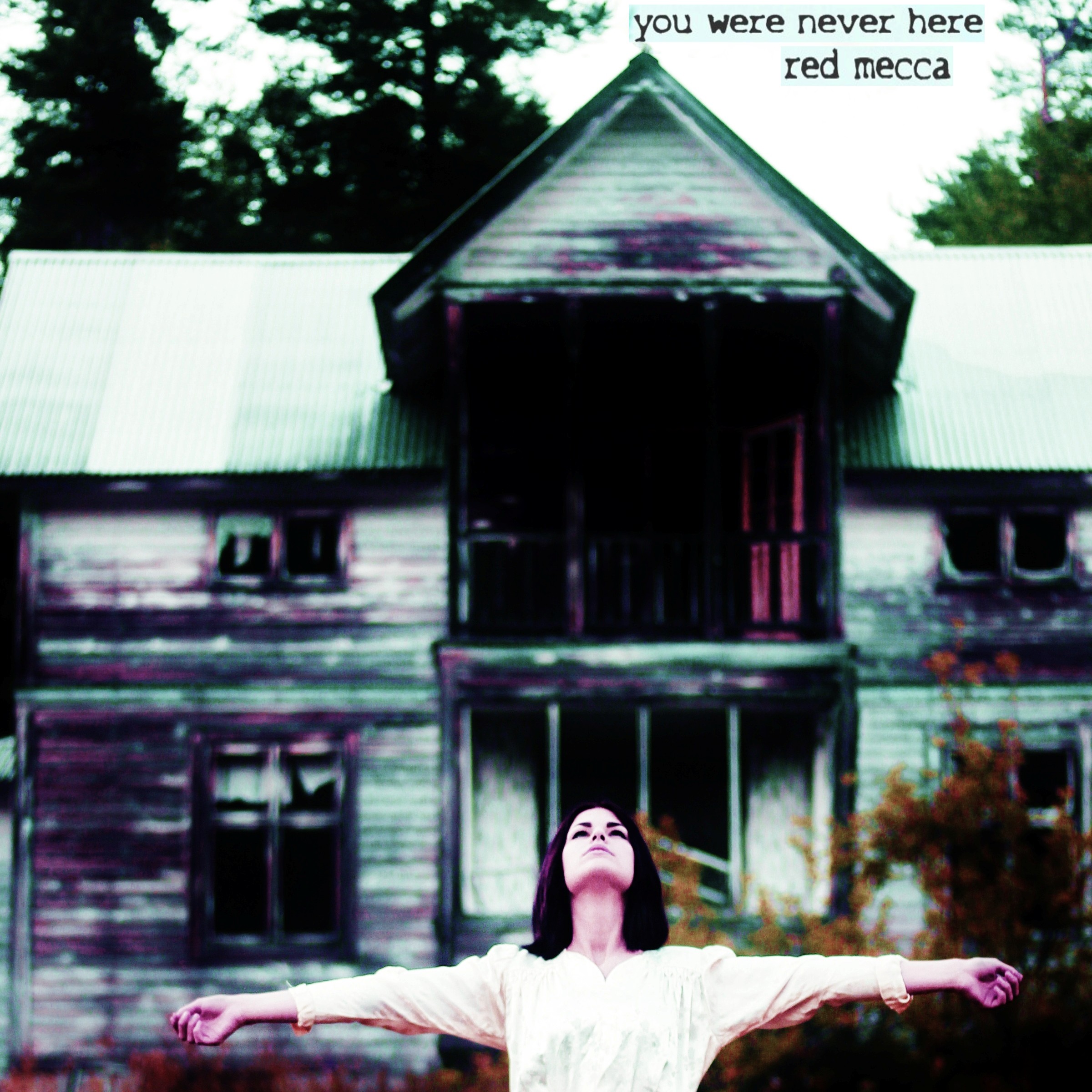 RED MECCA - You Were Never Here (Album)