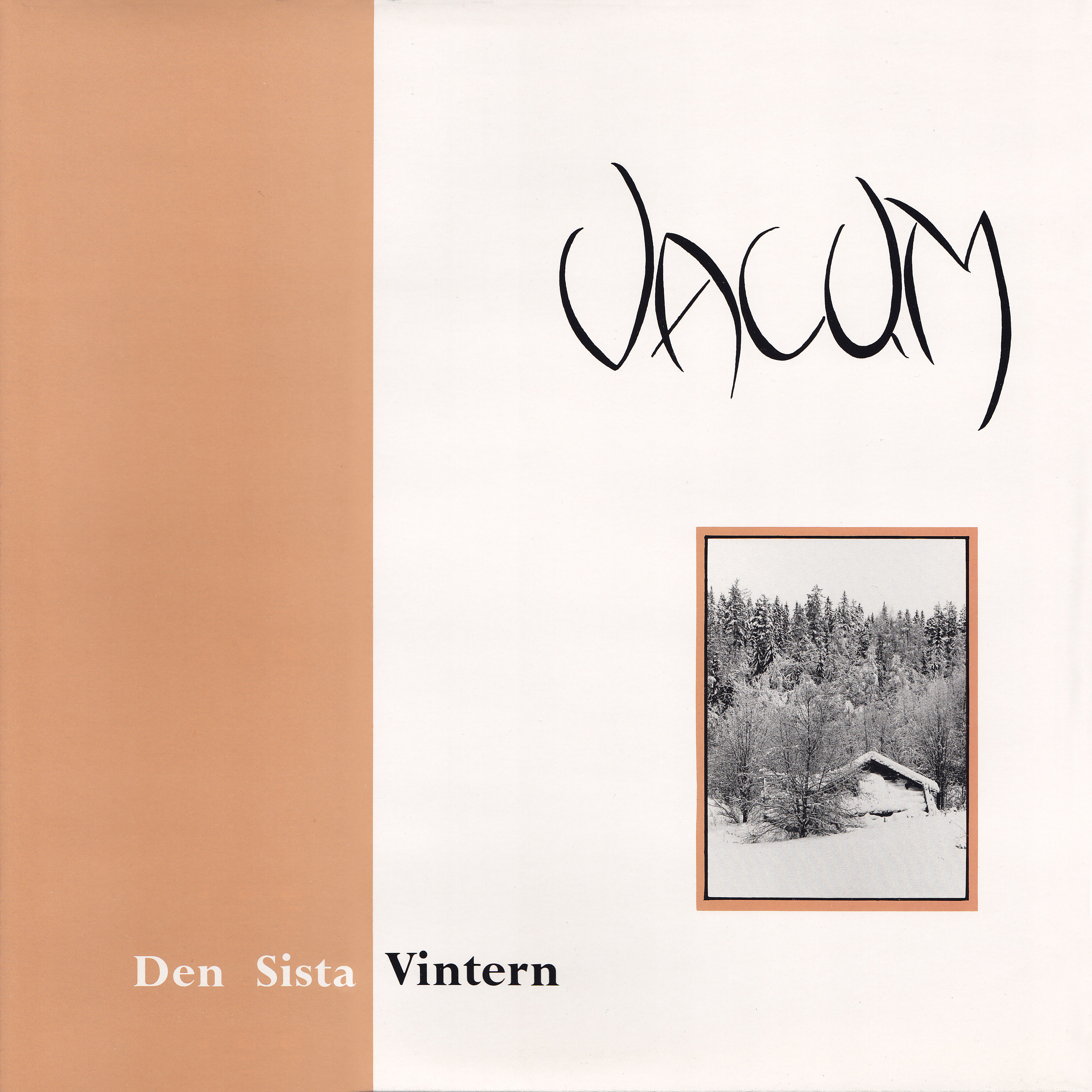 VACUM - Den sista vintern (LP - orange vinyl) 