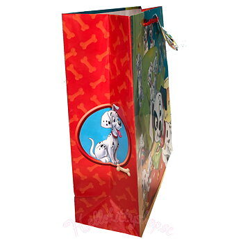 Disney Presentpåse 24 x 18 cm
