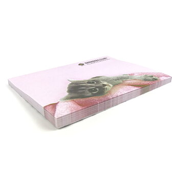 Hanadeka Japan Katt Post it Notes - Rosa