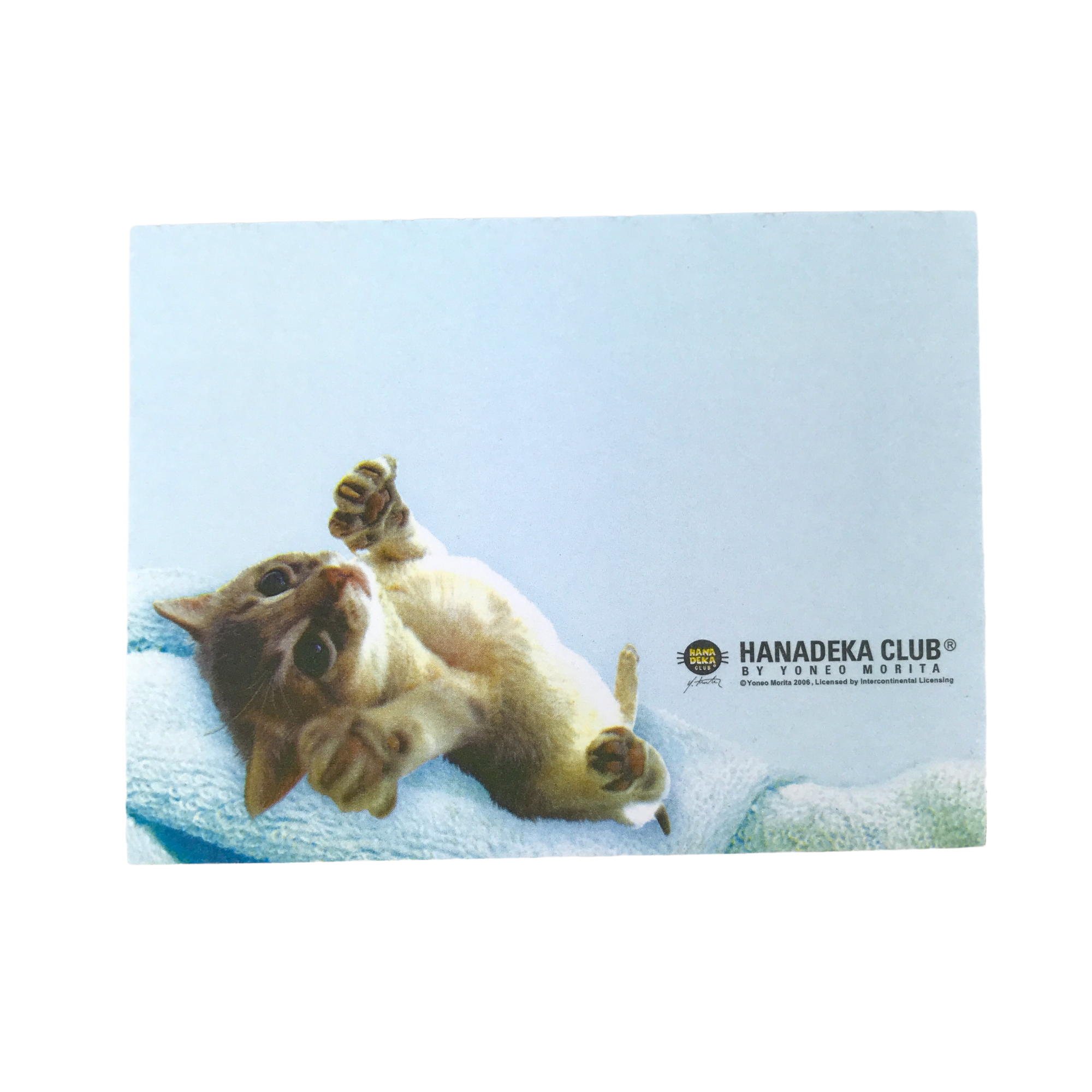 Hanadeka Japan Katt Post it Notes - Blått - 3