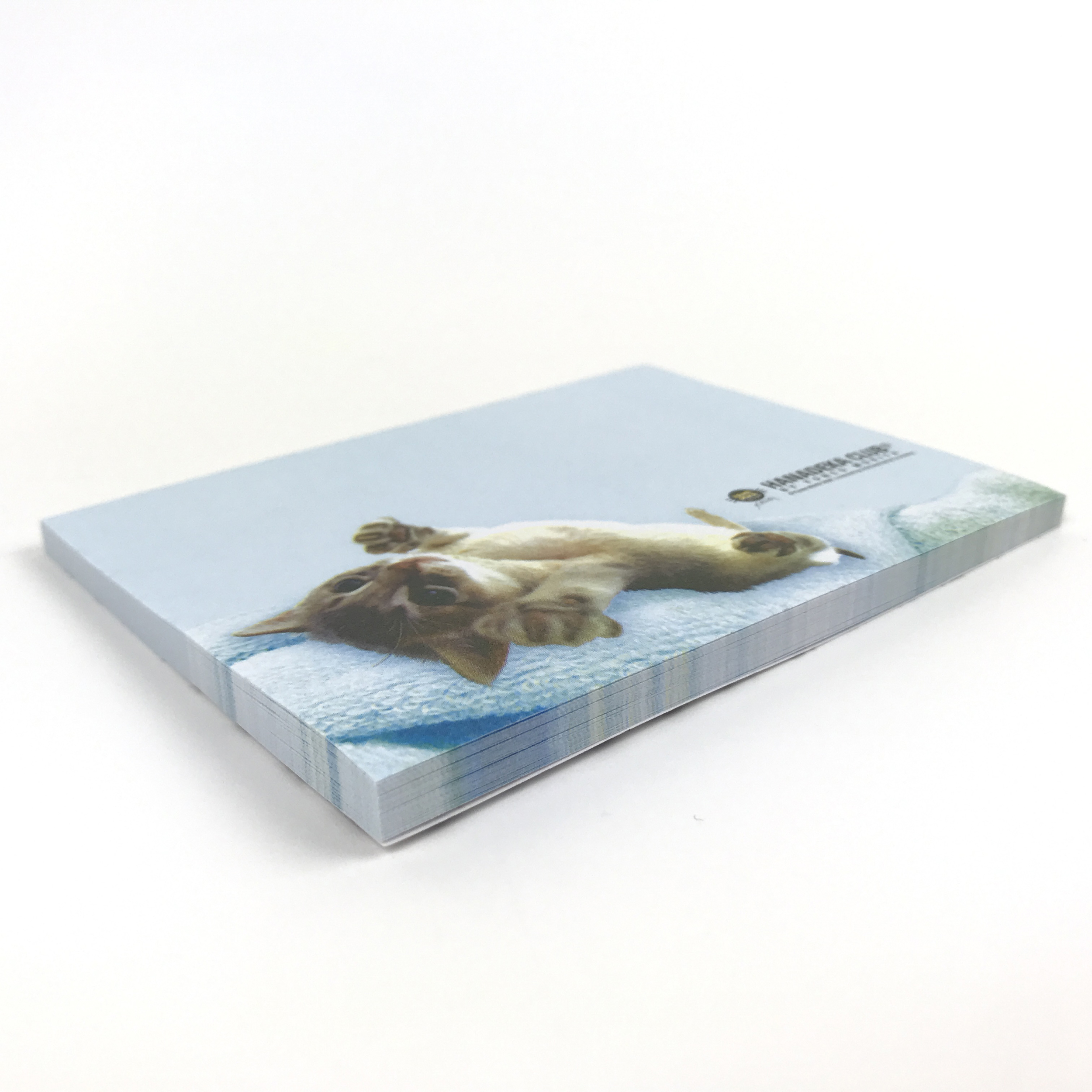 Hanadeka Japan Katt Post it Notes - Blått - 2