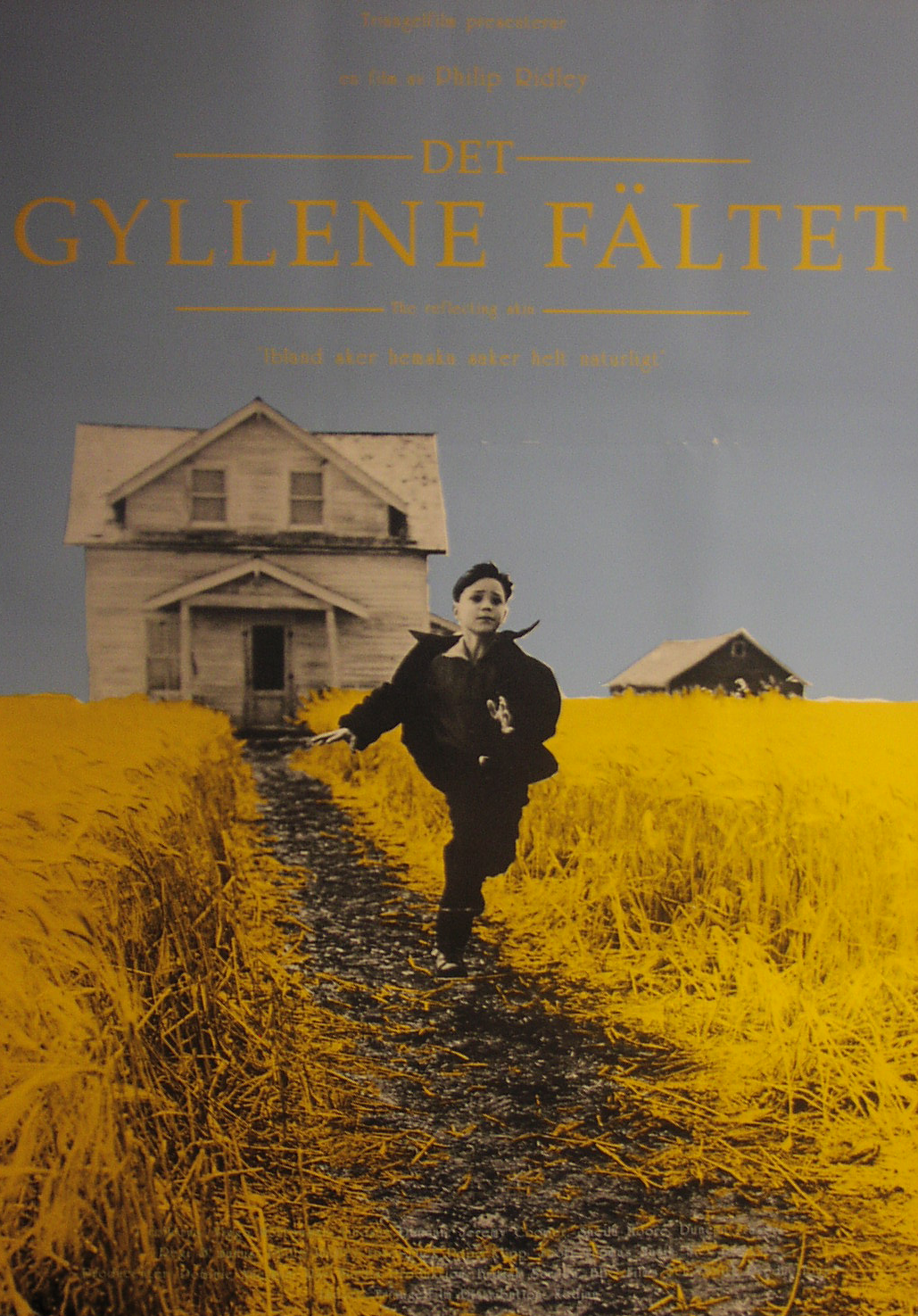 Det gyllene fältet