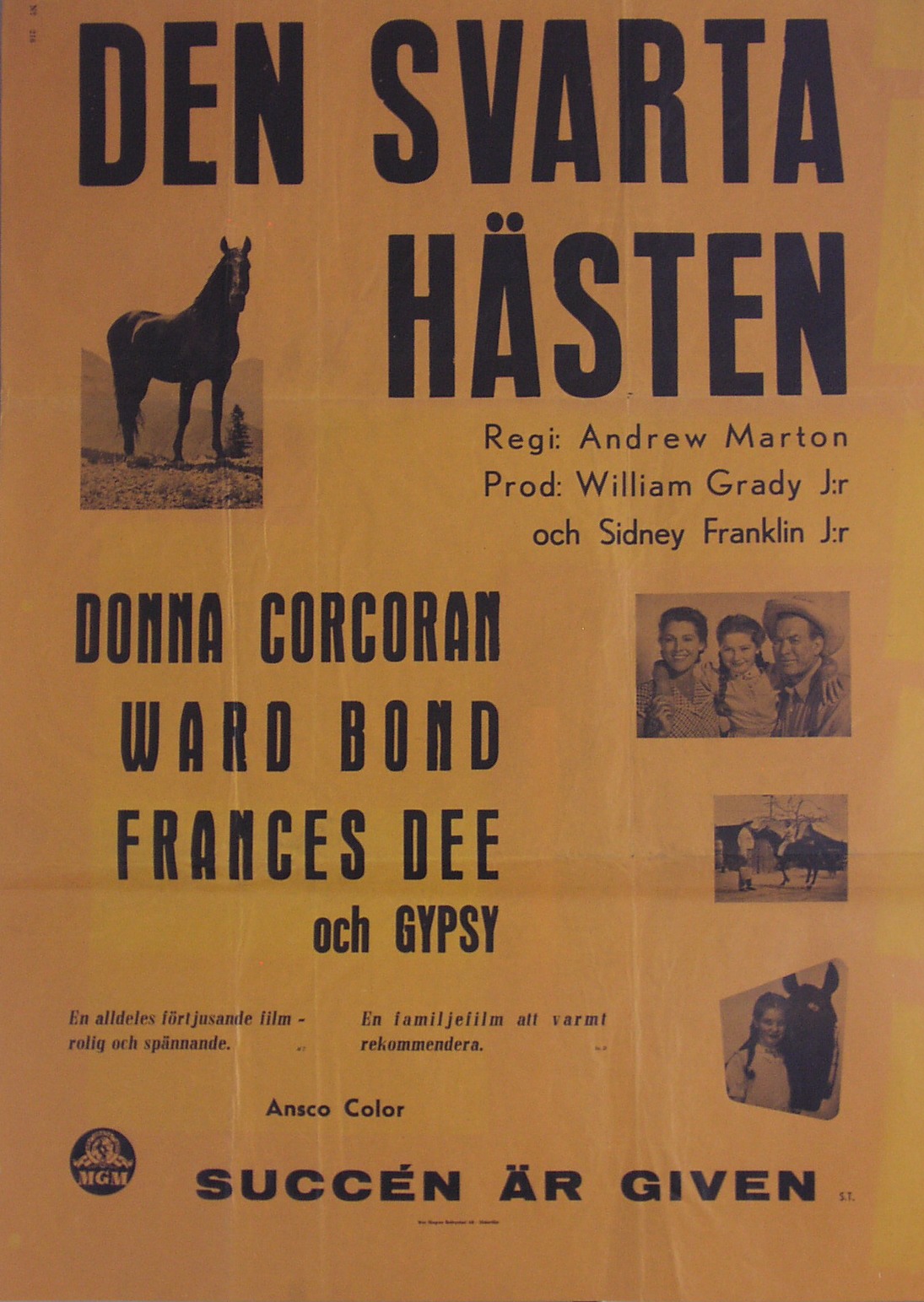 Den svarta hästen