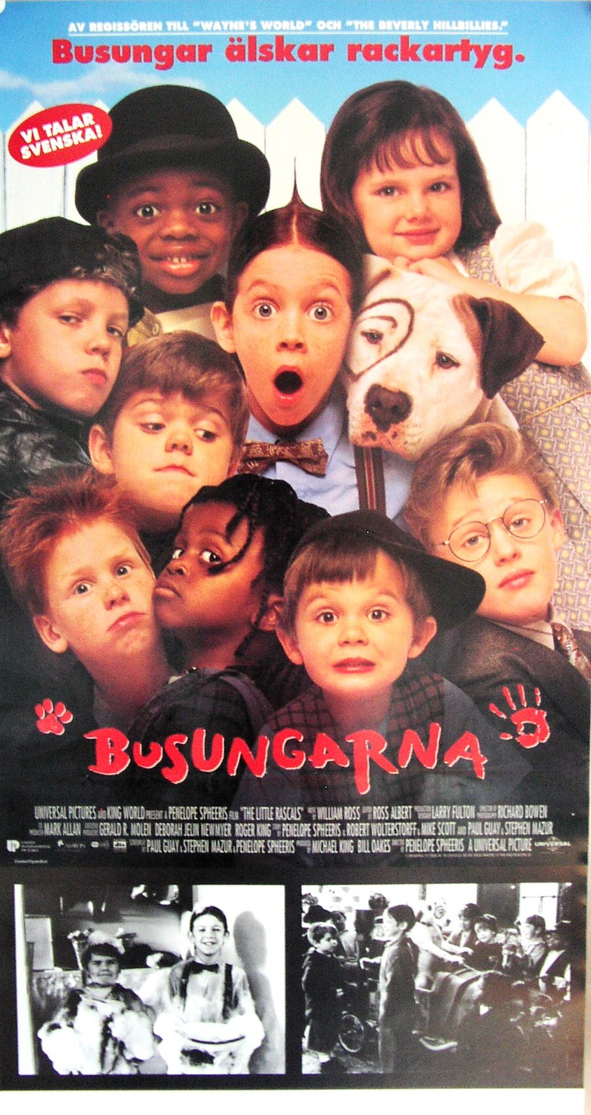 Busungarna 