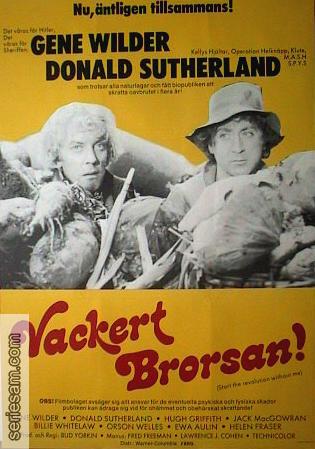 Vackert brorsan