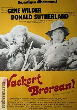 Vackert brorsan