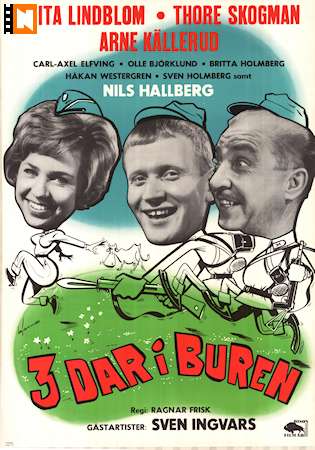3 dar i buren 