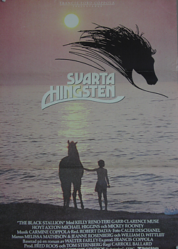 Svarta hingsten