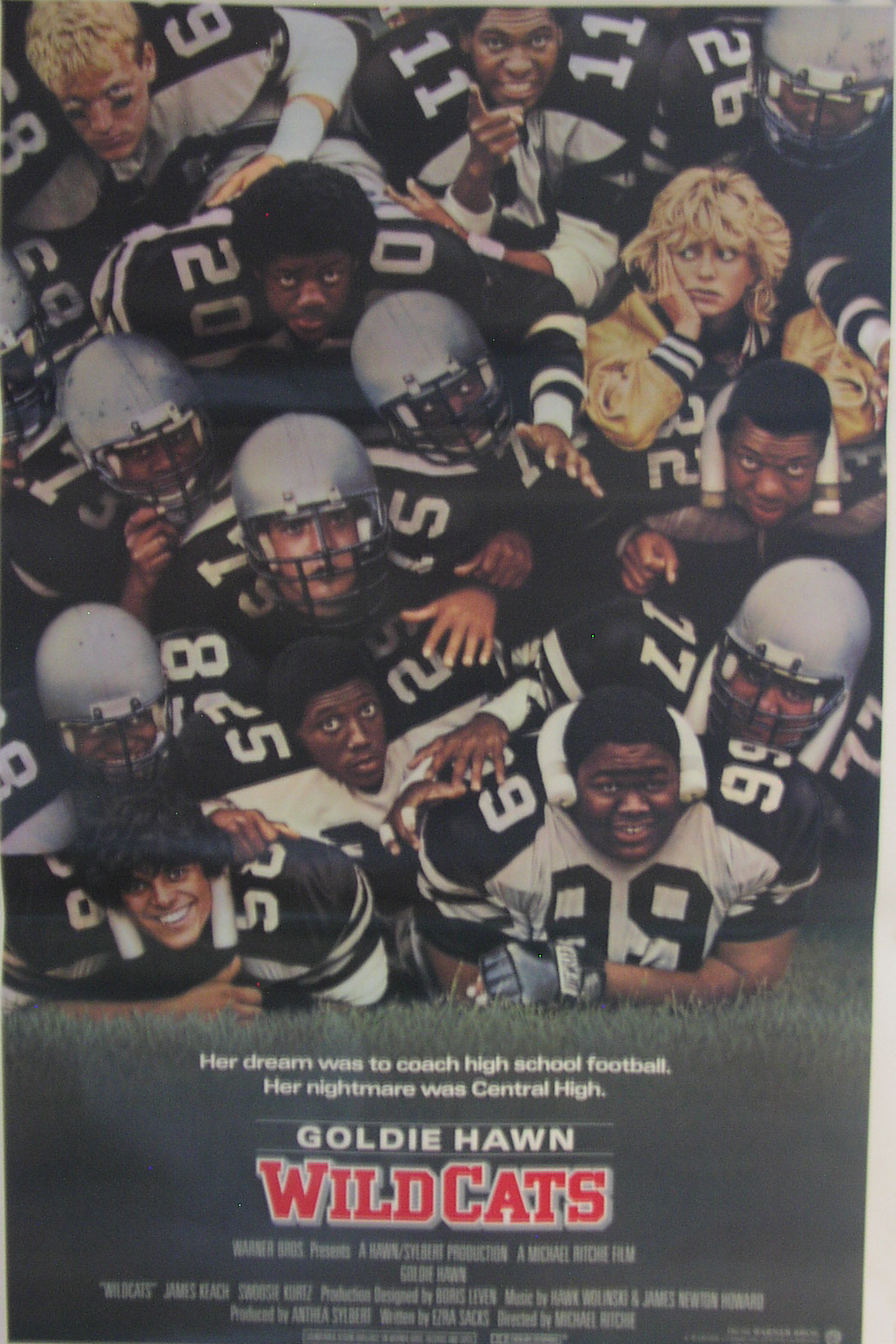 Wildcats