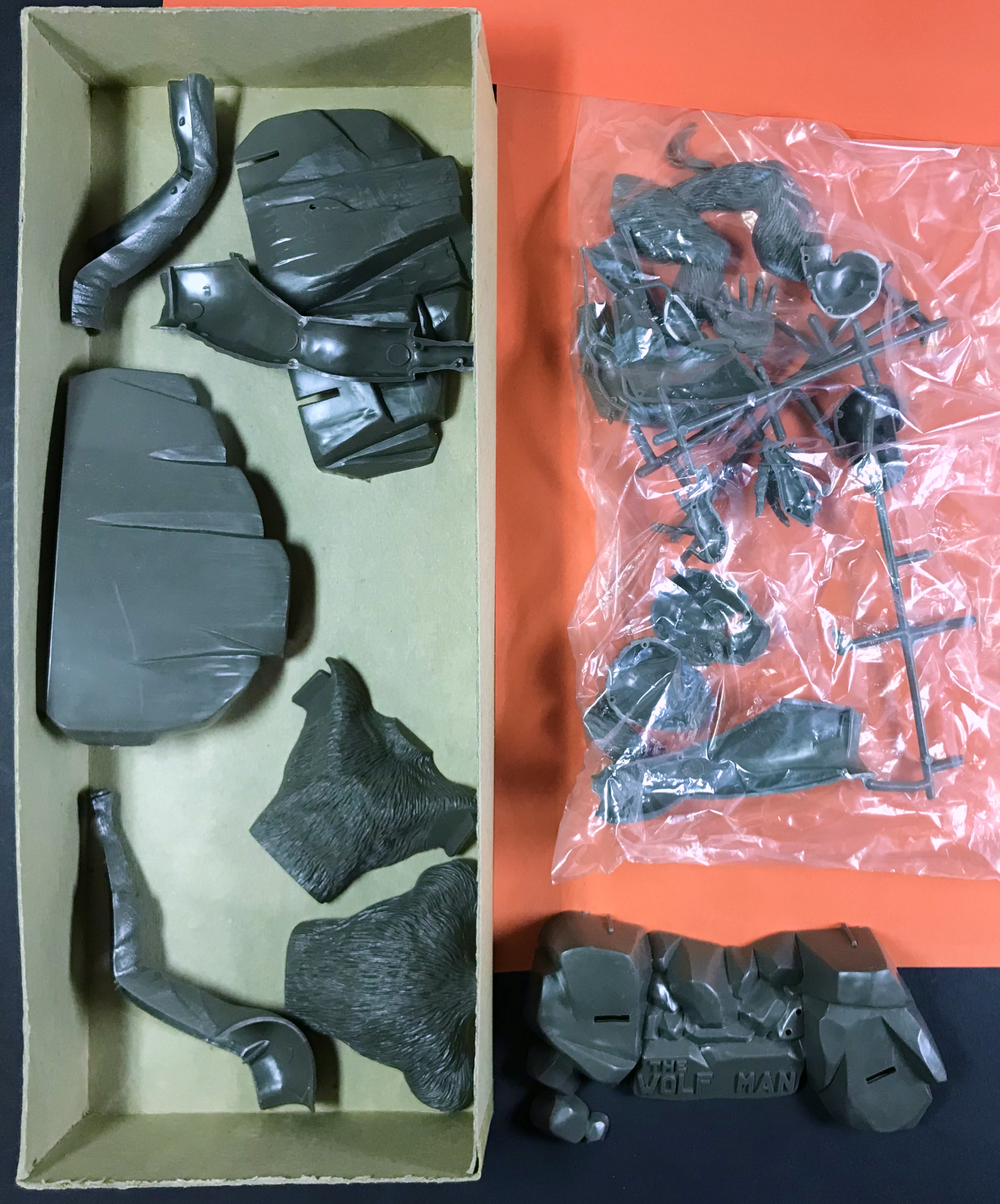 THE WOLF MAN - AURORA plastic assembly kit 1962 - 5