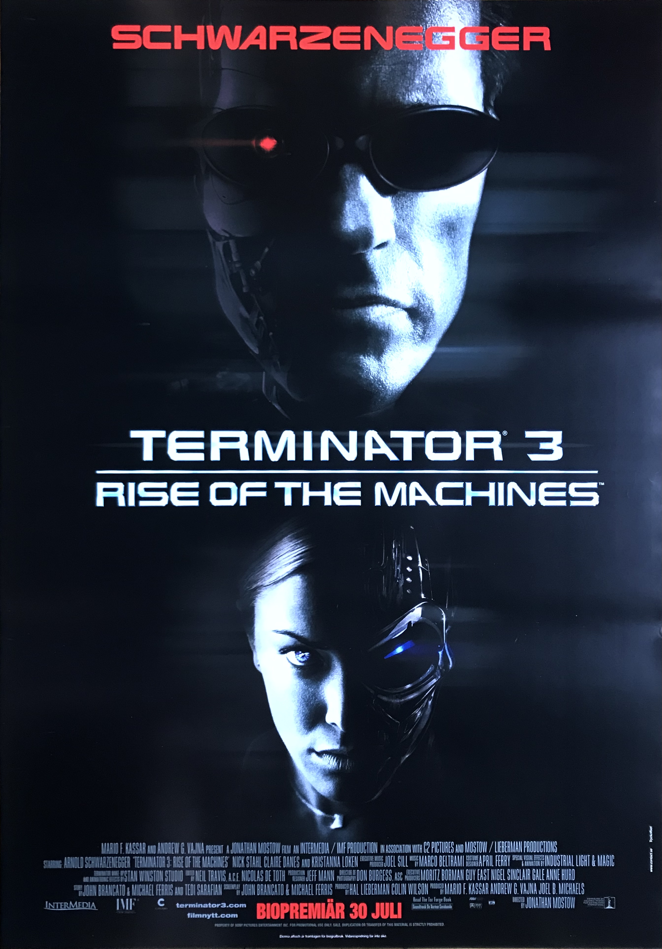 TERMINATOR 3: RISE OF THE MACHINES (2003) Advance