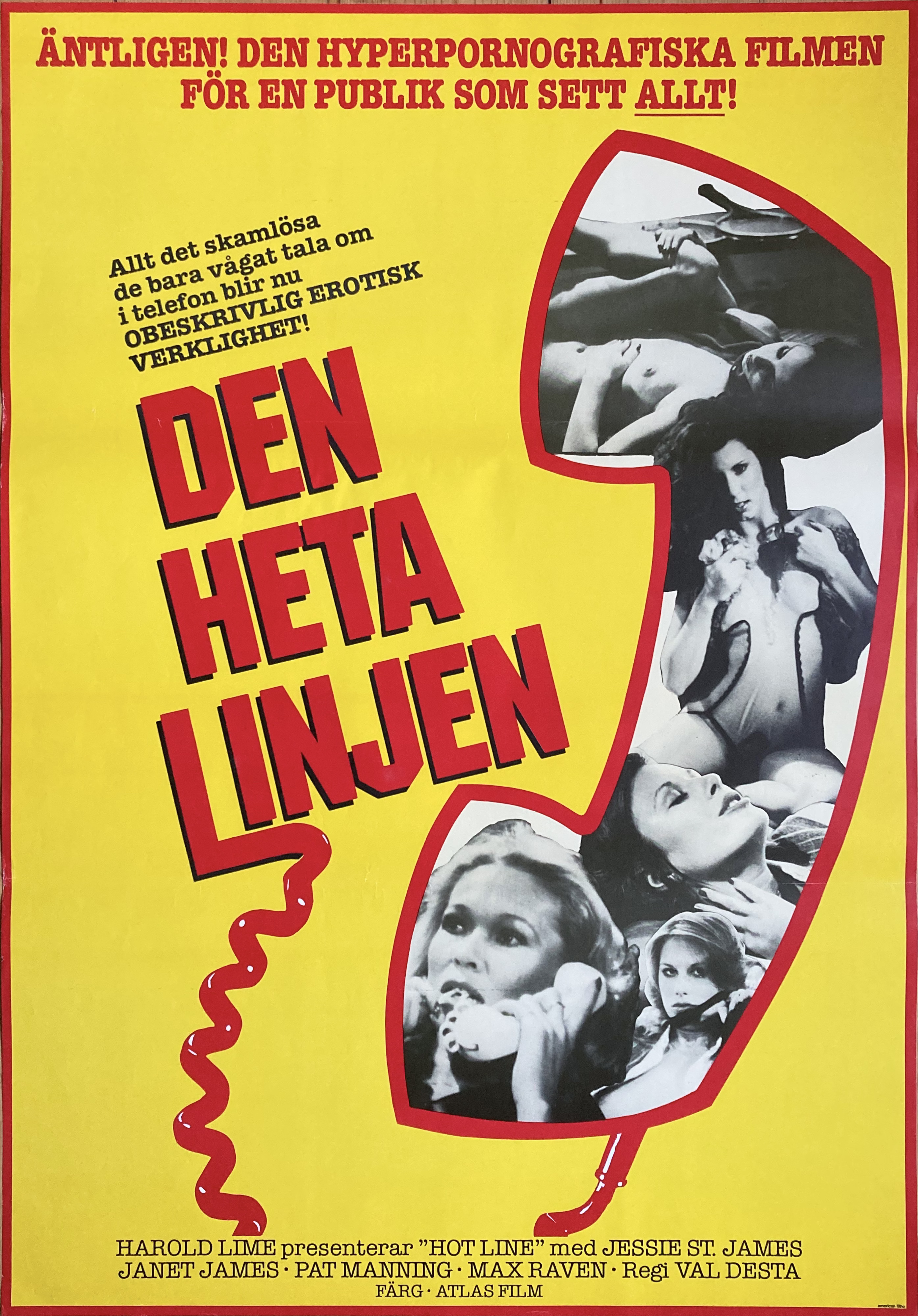 DEN HETA LINJEN  (1980)