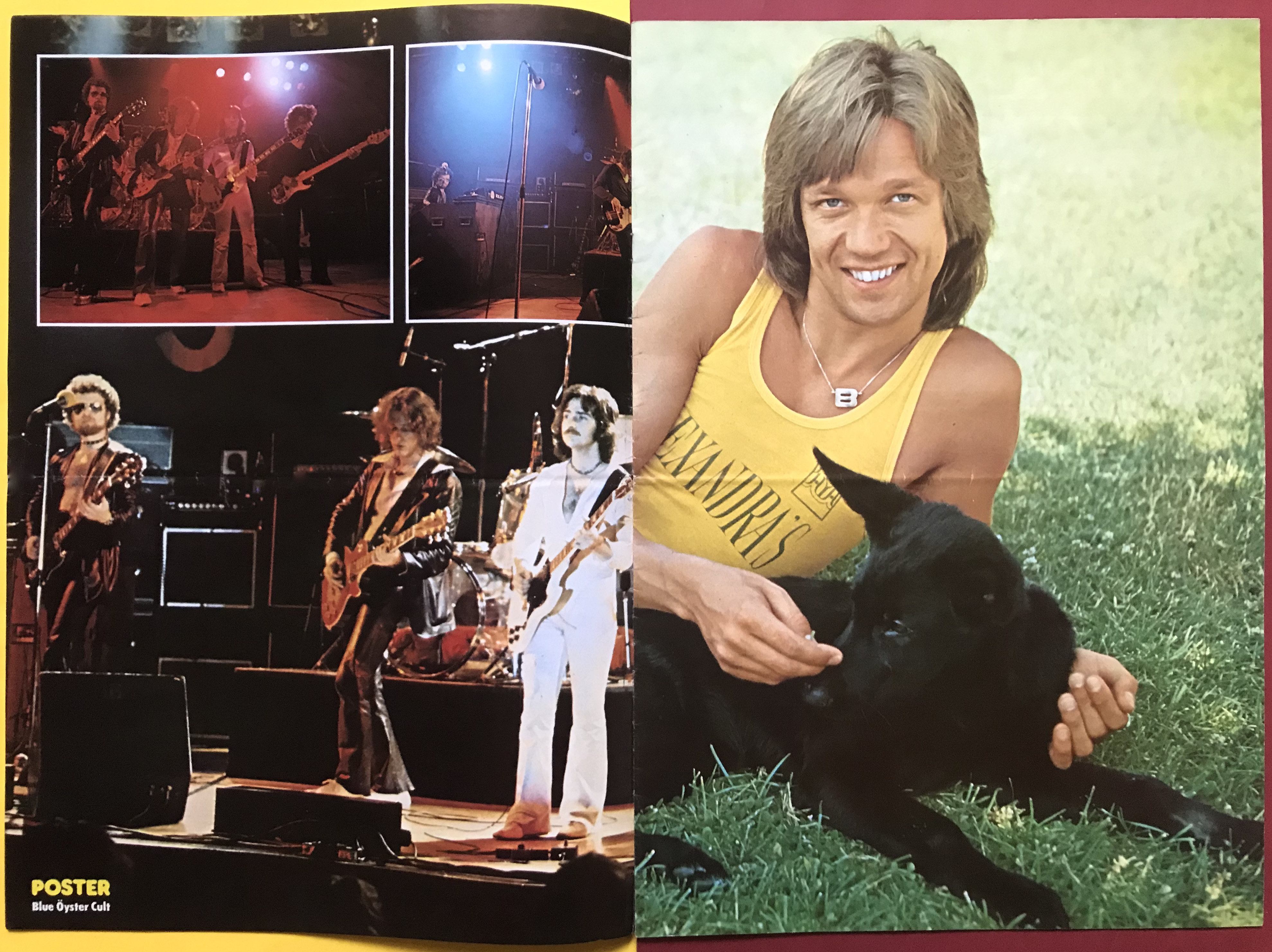 TIDNINGEN POSTER - Nr 9 1975 ABBA / Frida omslag - 3