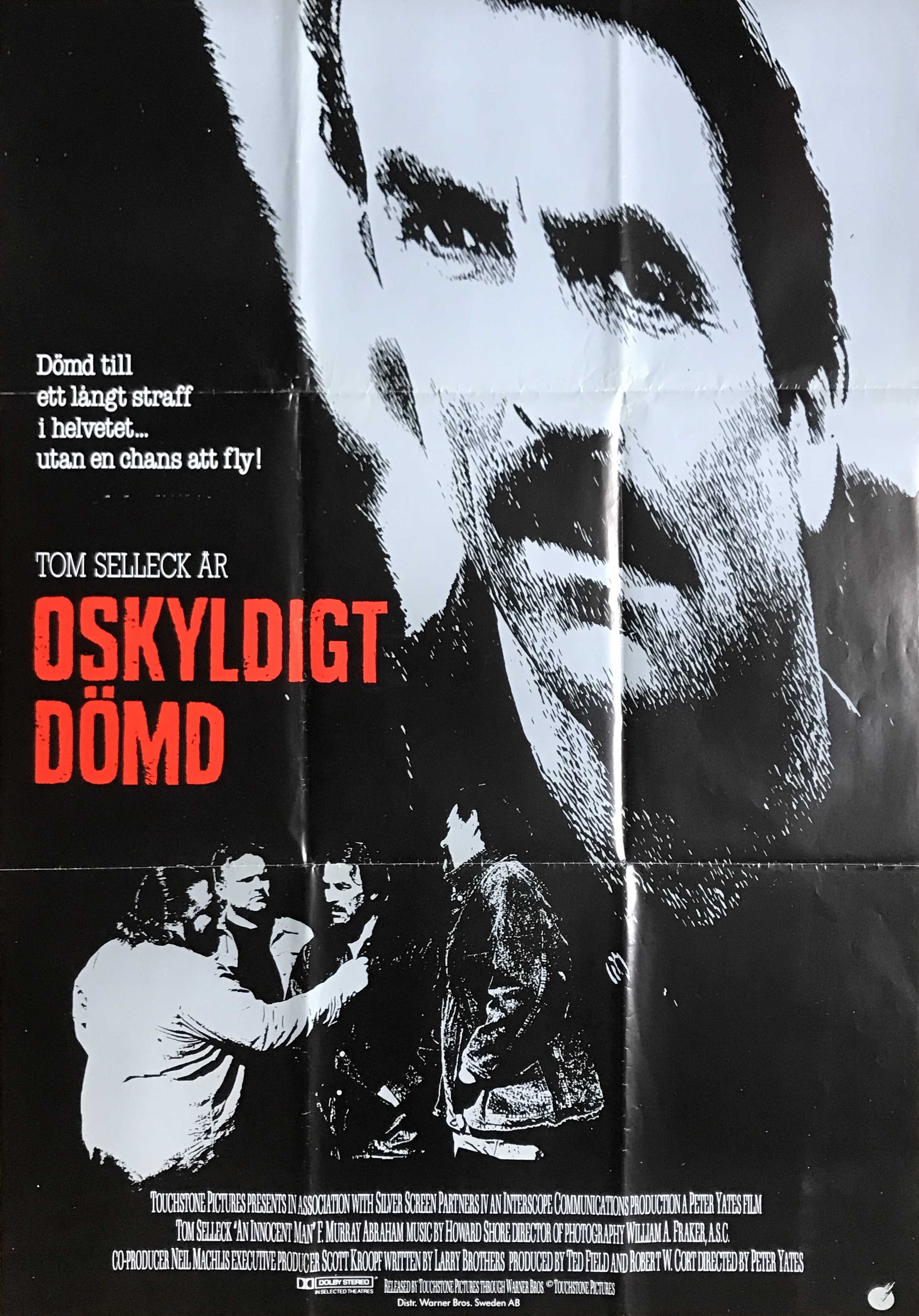OSKYLDIGT DÖMD (1989)