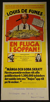EN FLUGA I SOPPAN! (1976)