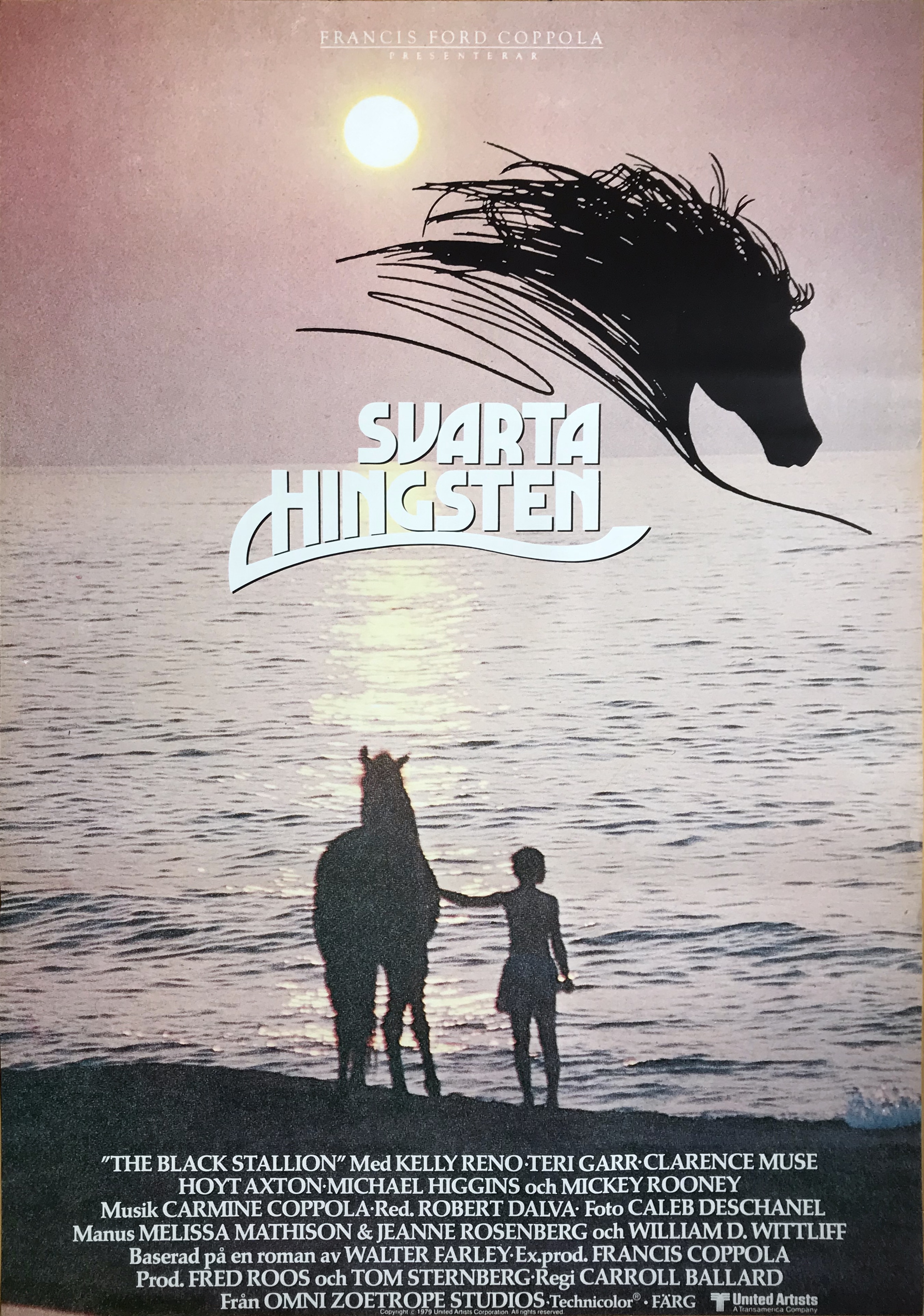 DEN SVARTA HINGSTEN (1979)