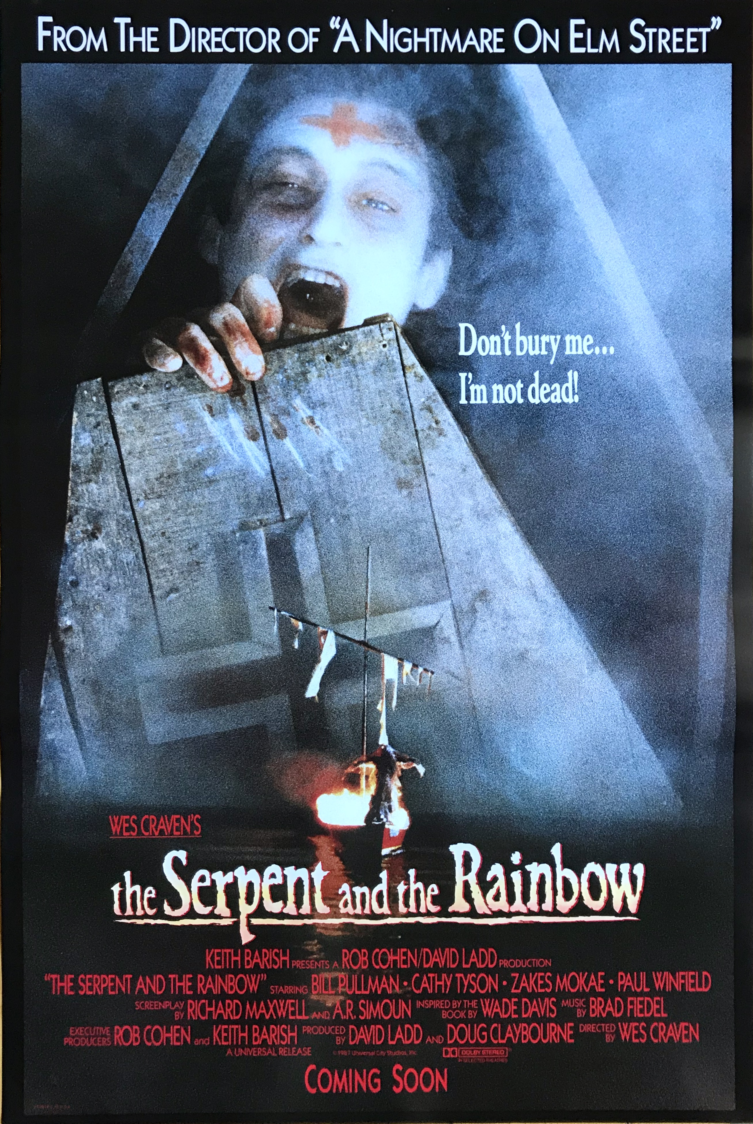 THE SERPENT AND THE RAINBOW (1987)