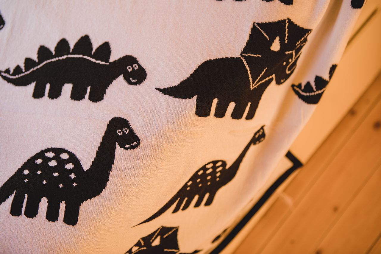 Dino - Babytæppe med navn. XXL - 13
