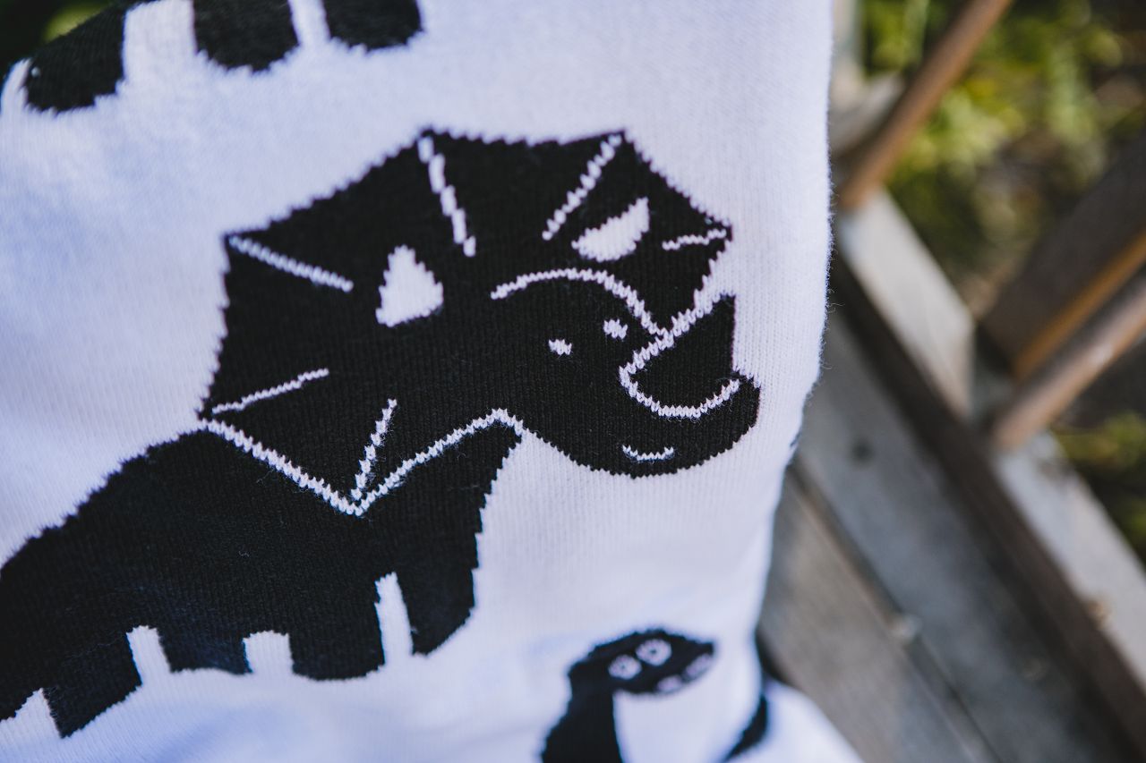Dino - Babytæppe med navn. XXL - 10