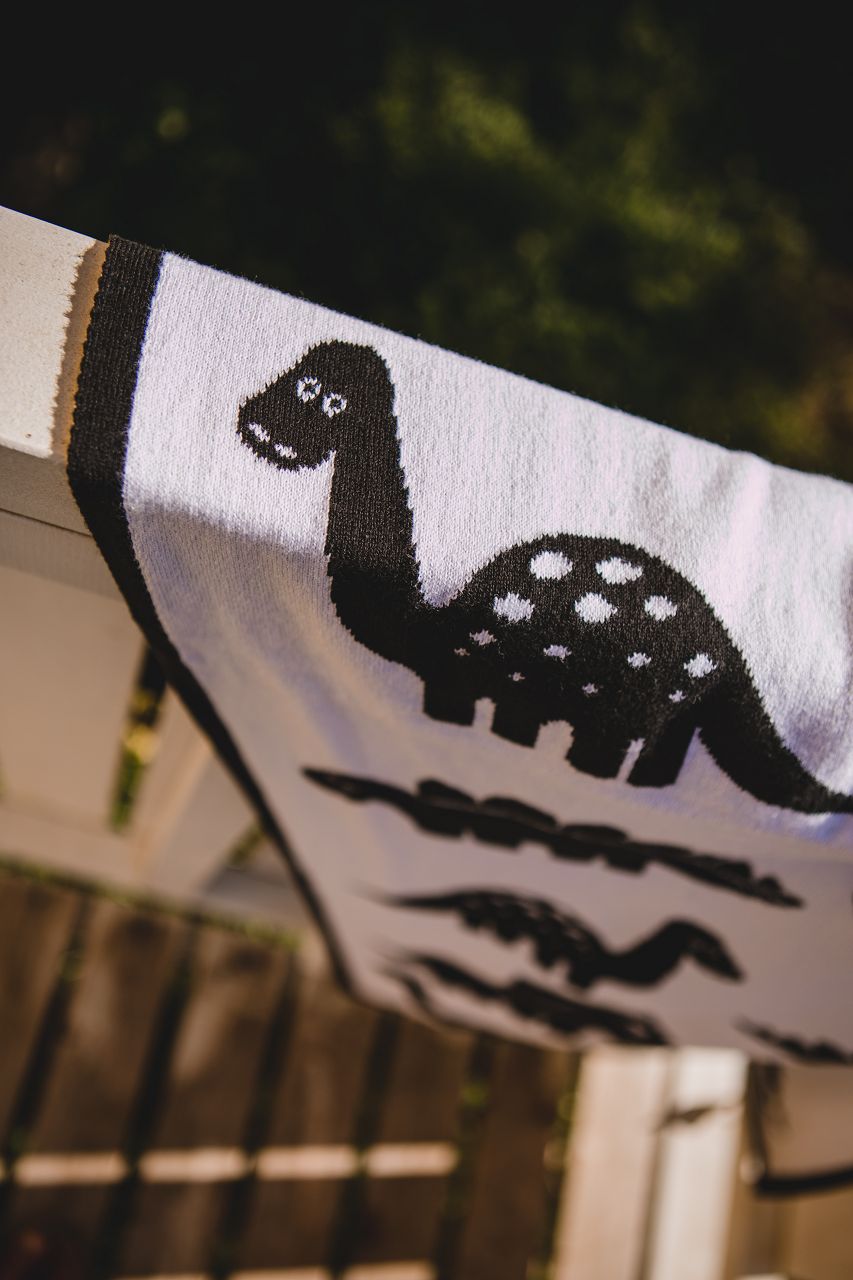 Dino - Babytæppe med navn. XXL - 11