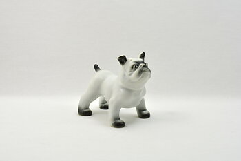 Figur, Buldogg
