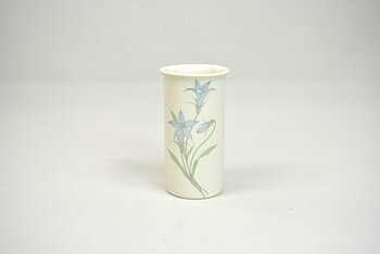 Vas, Botanica, Blåklocka, ET