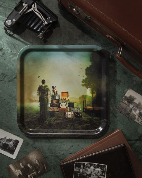 Trays  