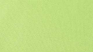 Apple mint green microfiber cloth