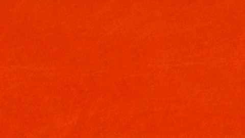 IT83 Orange flock