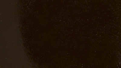 Dark brown shiny