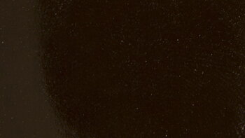 Dark brown shiny