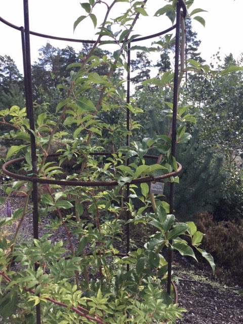 SPALJE RUND STÅL  - 2