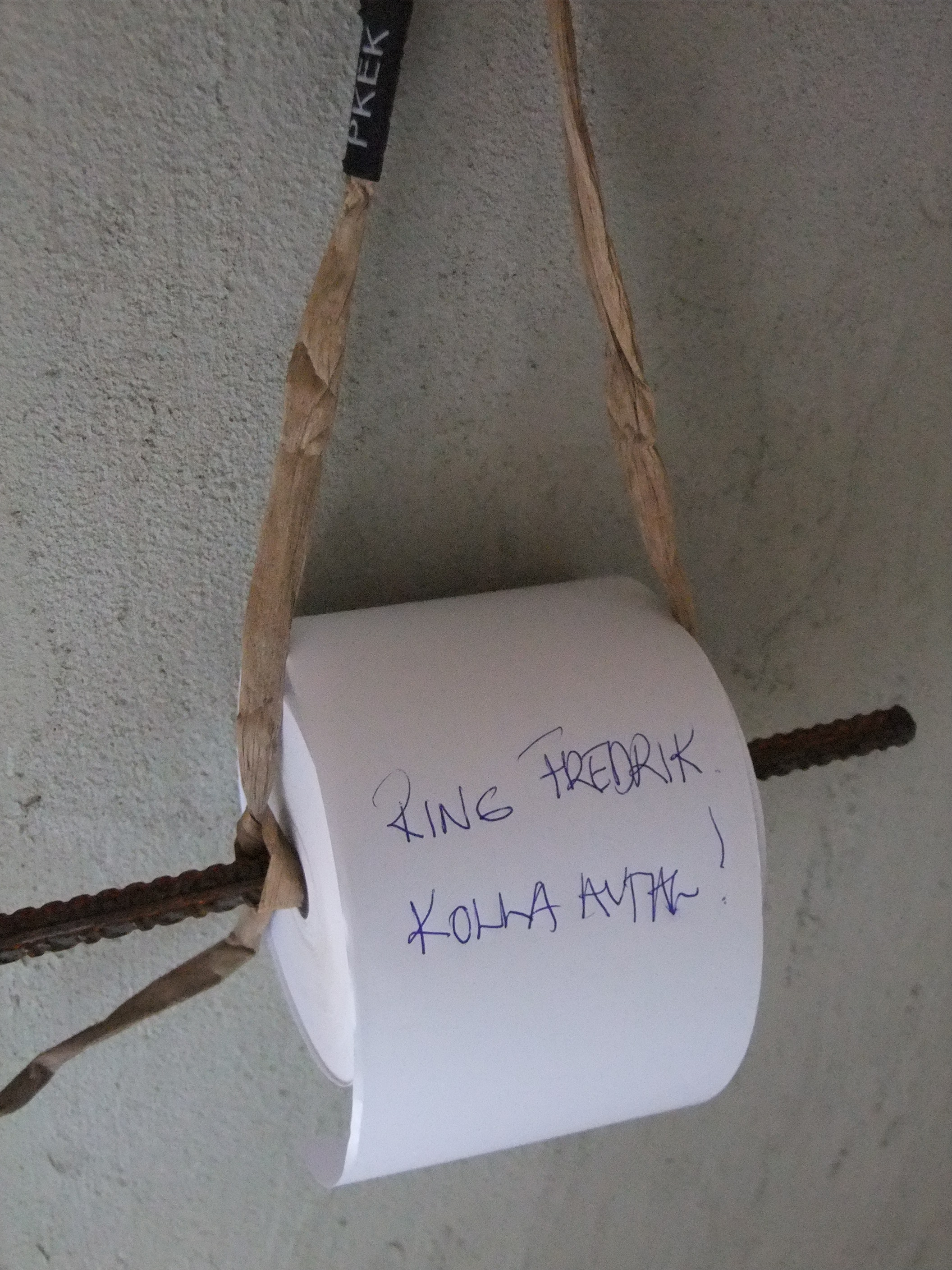 KOMIHÅGLISTA  STÅL VATTENHYACINT - 3