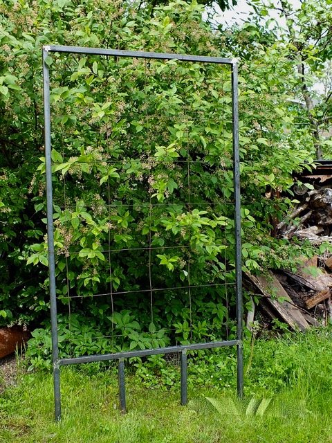 SPALJE VÄGG STÅL - 4