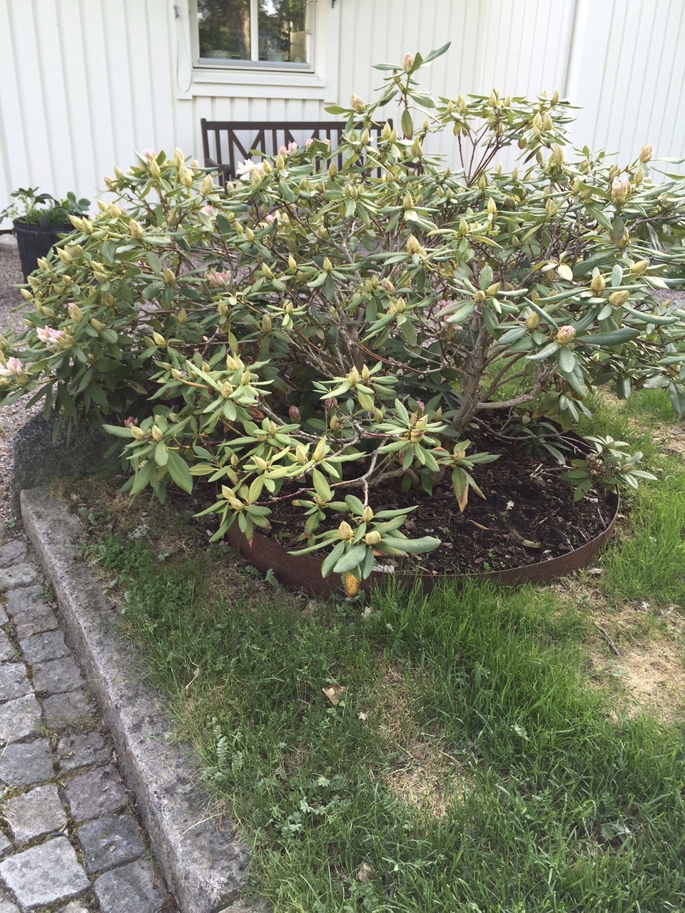 KANTSTÅL RABATT RUND - 6