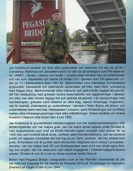 Observatören - en FN-observatör berättar från missioner i Syrien, Libanon och Israel