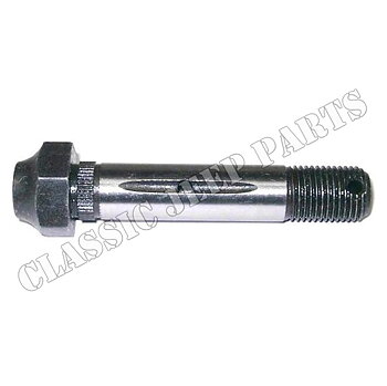 Shaft spring pivot with slotted nut and grease fitting