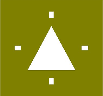 81st Airborne Anti Aircraft Battalion