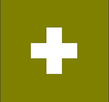 326th Airborne Medical Company