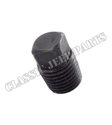 Floor drain bolt