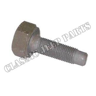 Bolt fuel filter
