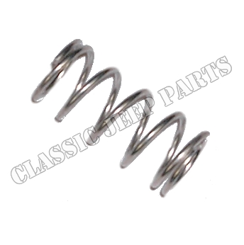 Spring fuel filter