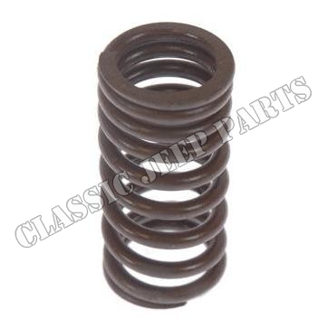 Valve spring