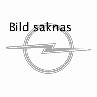 Keilriemen 10x813
