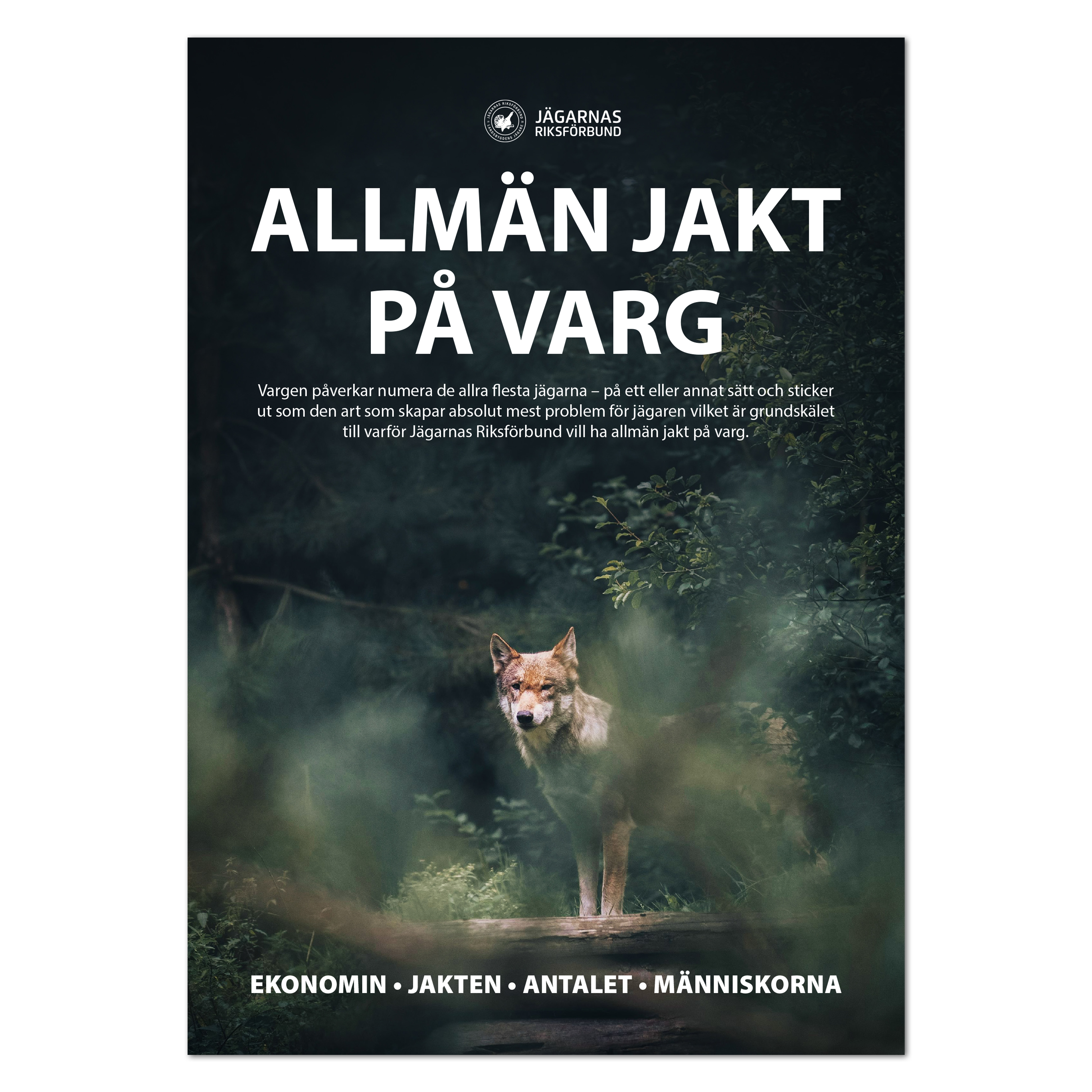 Broschyr Allmän jakt på varg. 25 stycken