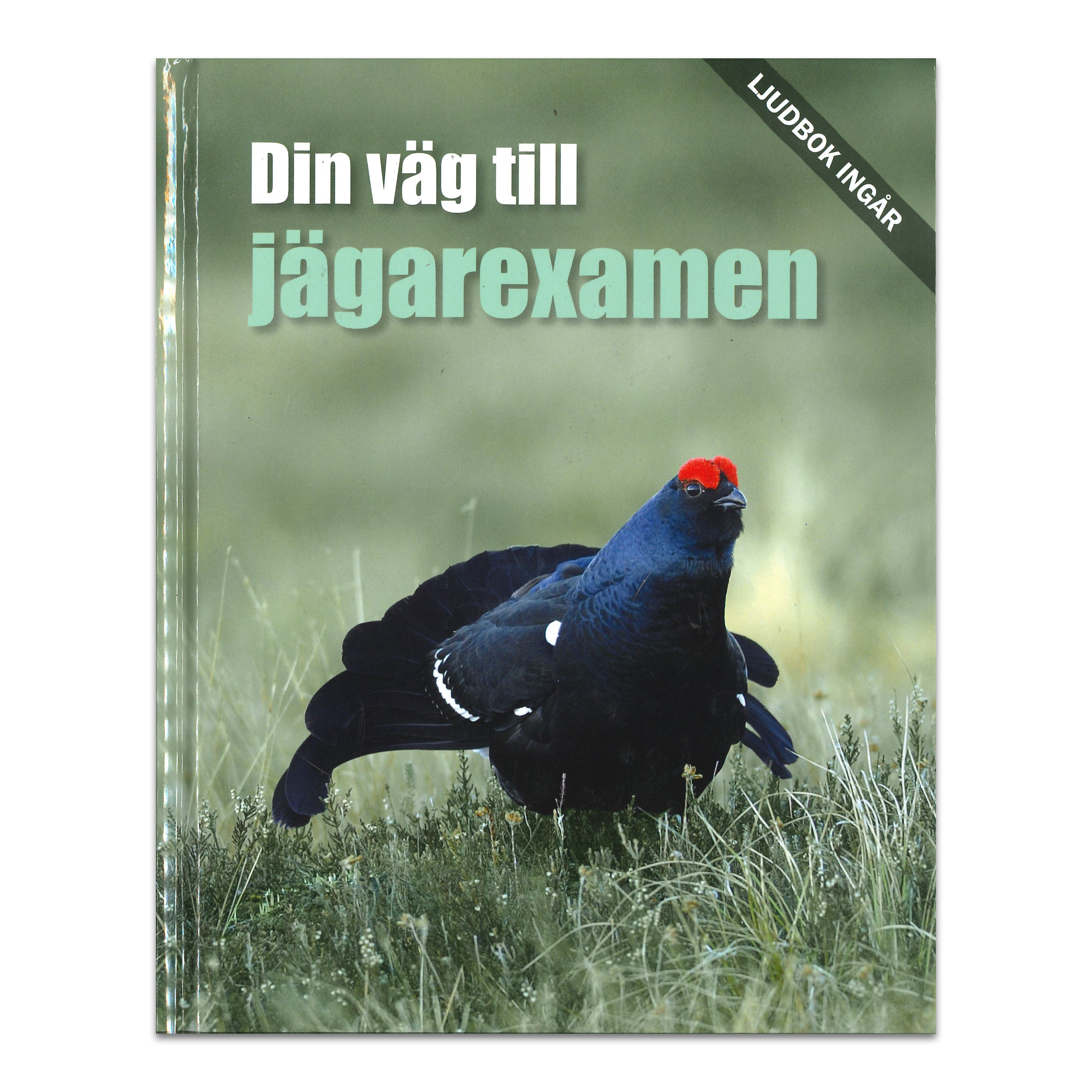 Din väg till jägarexamen (BOK+Ljudbok)